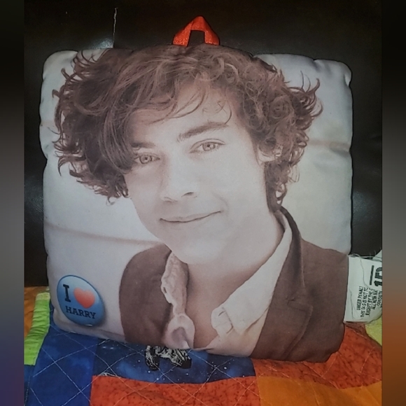 1D one direction I love Harry Styles throw pillow build a bear Liam zayn niall - Picture 2 of 5